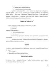 Tyrimo metodai ir pažinimo procesas 5 puslapis