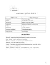 Tyrimo metodai ir pažinimo procesas 8 puslapis