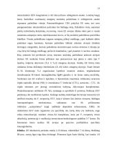 Virusiniai encefalitai 13 puslapis