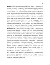 Virusiniai encefalitai 9 puslapis