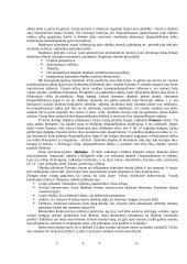 Binokulinė konkurencija. Panumo sritis. Horopteris 3 puslapis