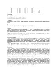 Binokulinė konkurencija. Panumo sritis. Horopteris 4 puslapis