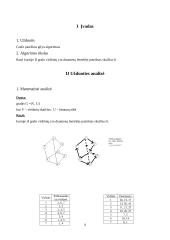 Grafo paieškos gilyn algoritmas 3 puslapis
