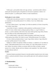 Grafo paieškos gilyn algoritmas 4 puslapis