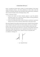 Pogendorfo iliuzija bei jos tikrinimas 2 puslapis