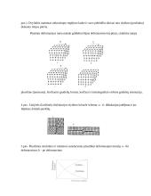 Presuojamojo metalo plastinės deformacijos tyrimas 3 puslapis