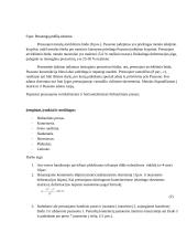 Presuojamojo metalo plastinės deformacijos tyrimas 6 puslapis