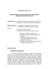 Susipažinimas su metalografiniu mikroskopu, mikrostruktūrinė analizė 2 puslapis