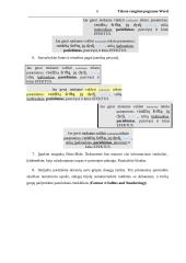 Teksto rengimo programa Word 6 puslapis