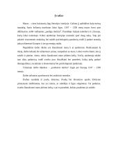 "Juodosios mirties" žygis per Europą: 1347–1350 metai 2 puslapis