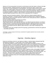 Vaiko agresija  4 puslapis