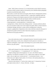Alaus mielių charakteristika 3 puslapis