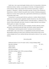 Alaus mielių charakteristika 6 puslapis