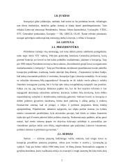 Antikorupcinės institucijos 2 puslapis