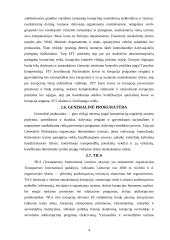 Antikorupcinės institucijos 4 puslapis