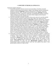 Asmenybės sutrikimas 2 puslapis