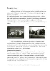 Baisiogalos dvaro rūmų architektūra 2 puslapis