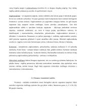 Bananų rūšys 6 puslapis