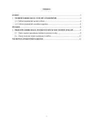 Civilinės atsakomybės savarankiškas kontrolinis namų darbas 2 puslapis