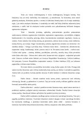 Civilinės atsakomybės savarankiškas kontrolinis namų darbas 3 puslapis