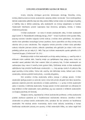 Civilinės atsakomybės savarankiškas kontrolinis namų darbas 4 puslapis