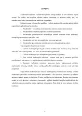 Civilinės atsakomybės savarankiškas kontrolinis namų darbas 8 puslapis