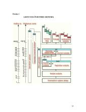 Didžiosios Britanijos, Lietuvos ir Norvegijos švietimo sistemų palyginimas 14 puslapis