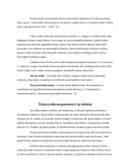Duonos mikrobiologija 6 puslapis