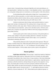 Duonos mikrobiologija 7 puslapis