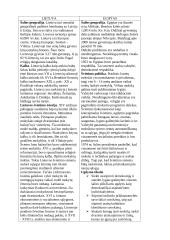 Egipto ir Lietuvos švietimų sistemos palyginimas 2 puslapis