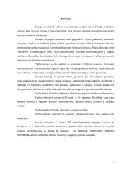 Europos Sąjungos bendros užsienio ir saugumo politikos susiformavimas 3 puslapis