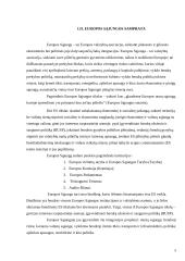 Europos Sąjungos bendros užsienio ir saugumo politikos susiformavimas 5 puslapis