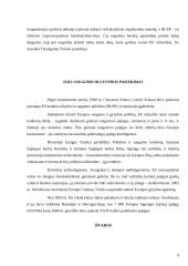 Europos Sąjungos bendros užsienio ir saugumo politikos susiformavimas 9 puslapis