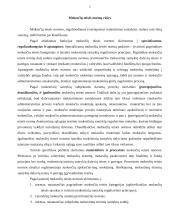 Finansų teisė bei mokesčiai 5 puslapis