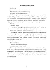 Individualus dienos planavimas 2 puslapis