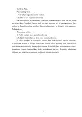 Individualus dienos planavimas 3 puslapis