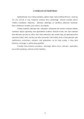 Individualus dienos planavimas 4 puslapis