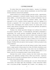 Individualus dienos planavimas 5 puslapis