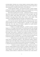 Individualus dienos planavimas 7 puslapis