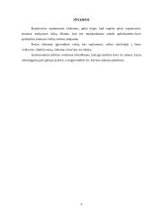 Individualus dienos planavimas 9 puslapis