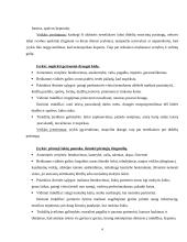 Individualios planavimo galimybės ir elgesys 3 puslapis