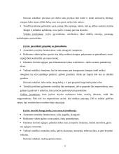 Individualios planavimo galimybės ir elgesys 5 puslapis