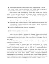 Individualios planavimo galimybės ir elgesys 6 puslapis