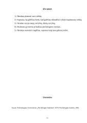 Individualus dienų planavimas 11 puslapis