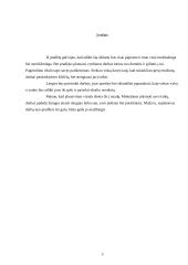 Individualus dienų planavimas 3 puslapis