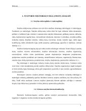Statybos sektoriaus SSGG (SWOT) analizė 2 puslapis