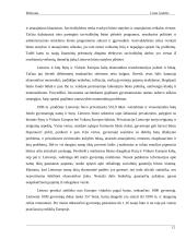 Statybos sektoriaus SSGG (SWOT) analizė 11 puslapis