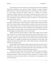 Statybos sektoriaus SSGG (SWOT) analizė 12 puslapis