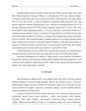 Statybos sektoriaus SSGG (SWOT) analizė 13 puslapis