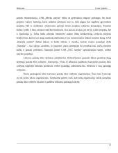 Statybos sektoriaus SSGG (SWOT) analizė 14 puslapis